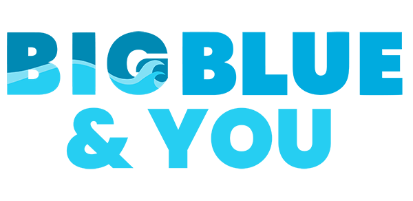 Big Blue & You